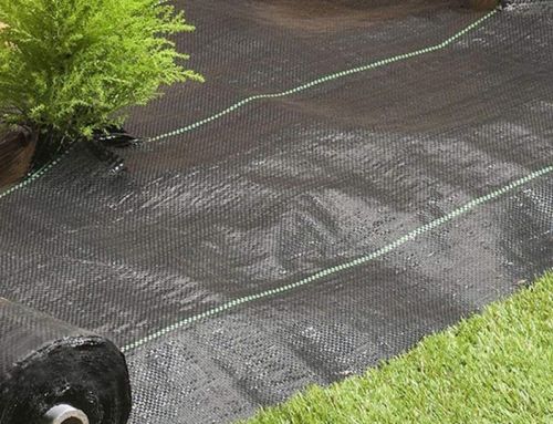 Can I Put Landscape Fabric Over Weeds? Installation Tips and Tricks